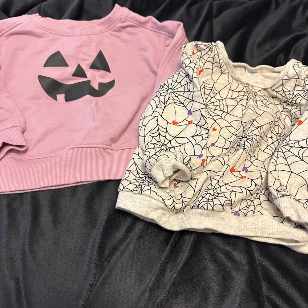 Pink Pumpkin Sweatshirt and Spiderweb Sweater - Bin 13